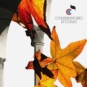 Conservatorio di Como, Note di autunno